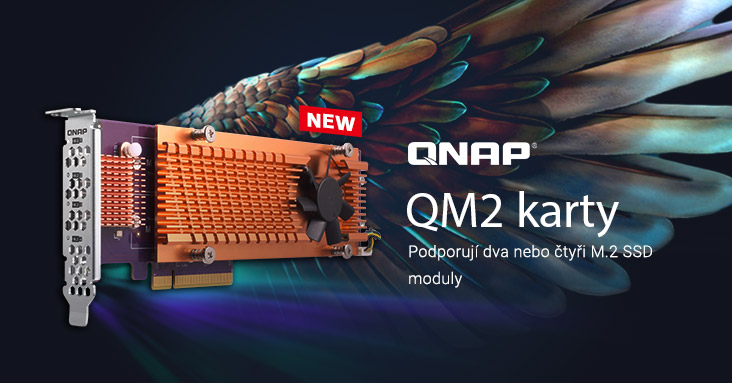 QNAP QM2 karty